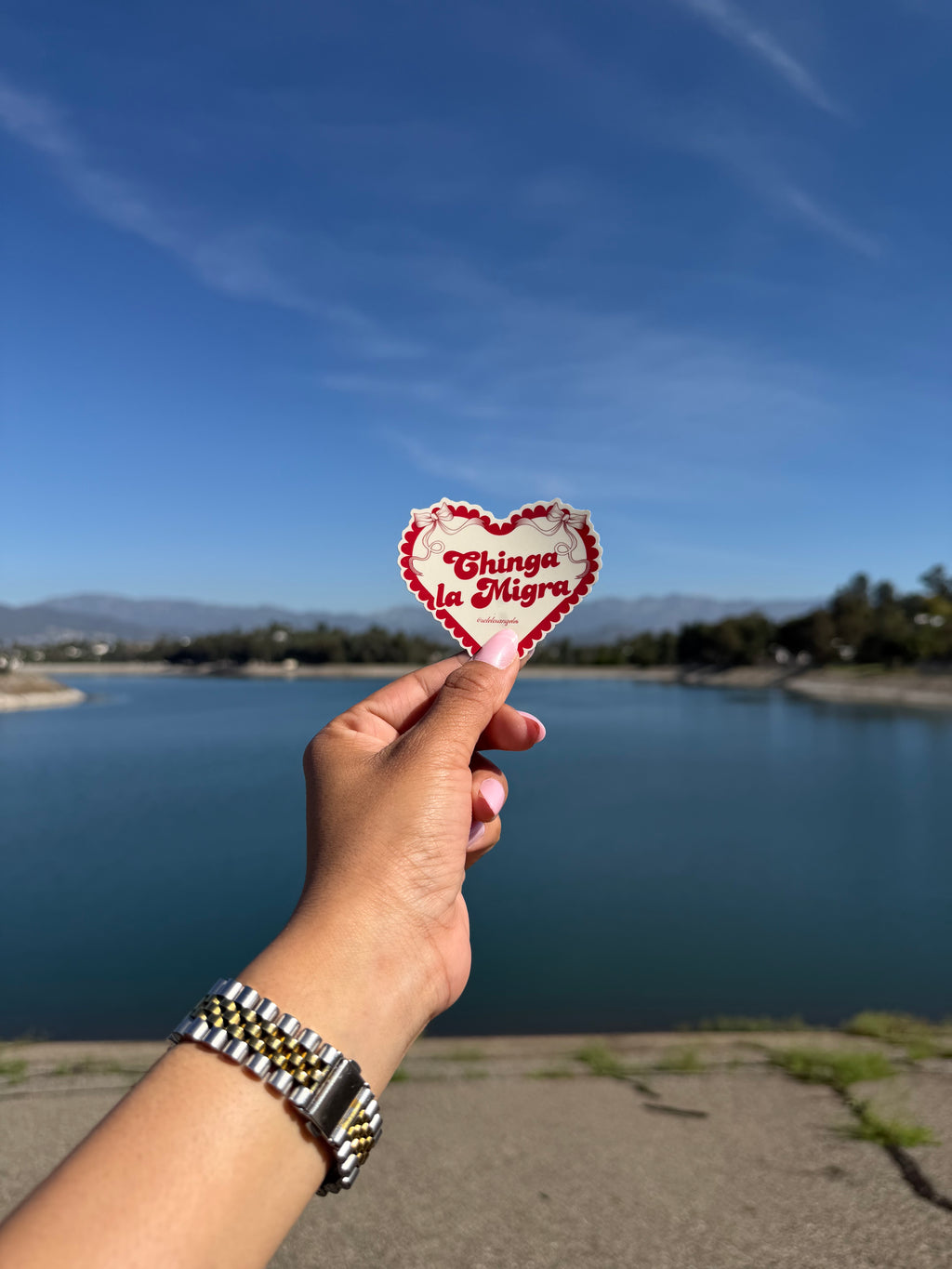 Chinga la Migra Sticker Duo