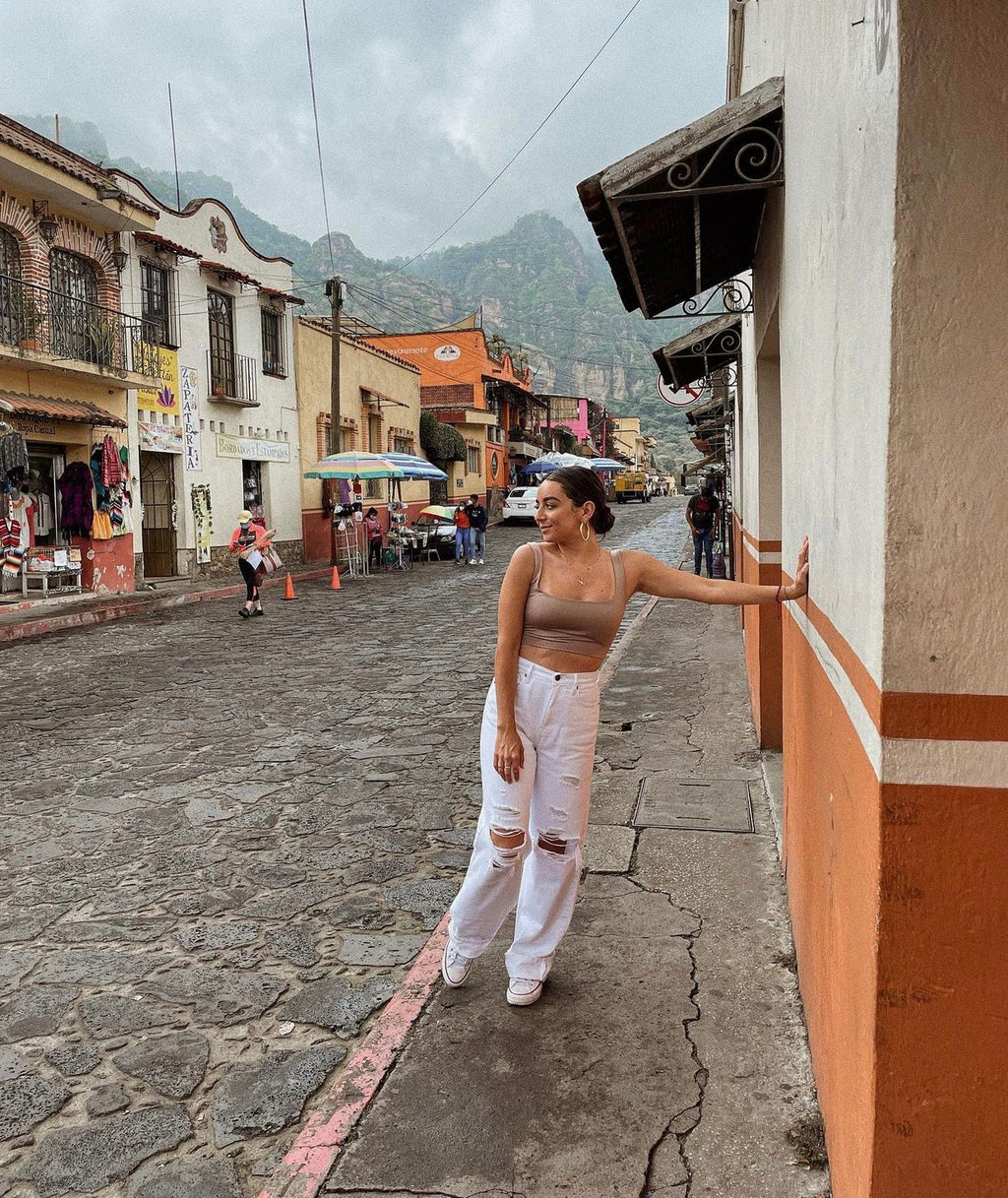 Leslie Square Neck Crop Top (Taupe)