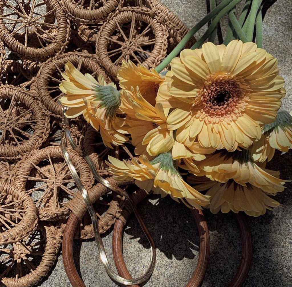 Marimar Boho Multi Circle Beach Bag (Tan)